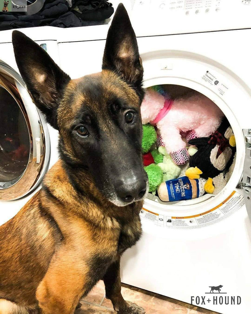 Natural Pet Laundry Detergent