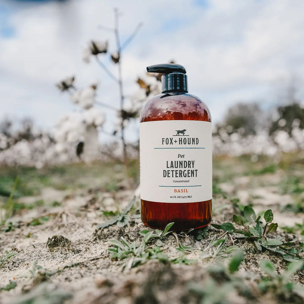 LAUNDRY DETERGENT NATURAL FOR PETS AND HUMANS