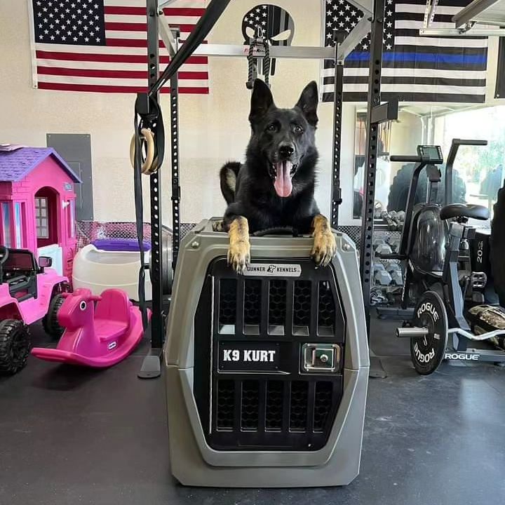 K9 CANDLE - K9 KURT FOX + HOUND TONKA OUD ODOR-ELIMINATOR SOY CANDLE