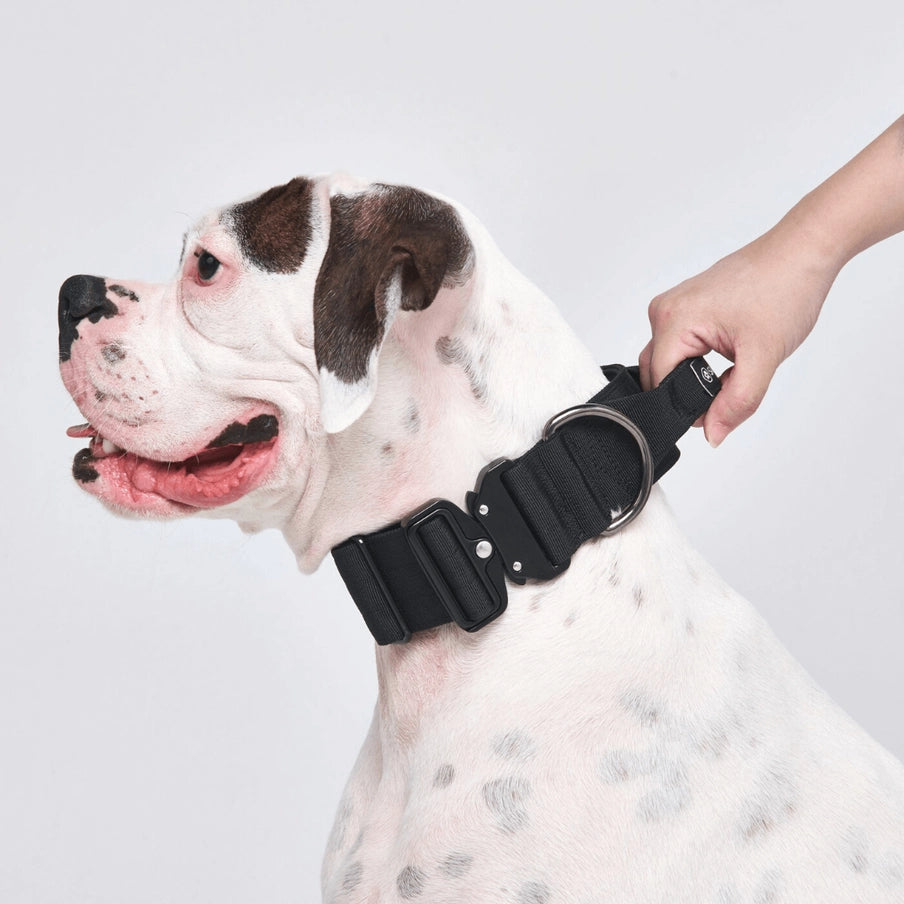 COLLARS | TACTICAL DOG COLLAR - BLACK 2"/5cm