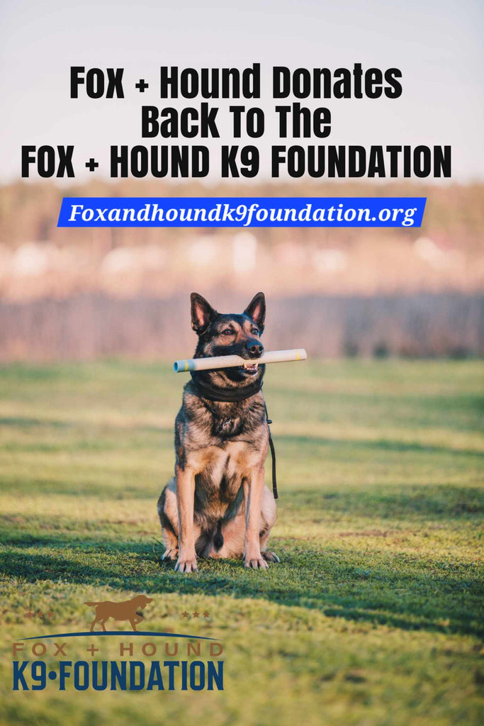 K9 CANDLE  - K9 TABITHA -  FOX + HOUND BAJA CACTUS ODOR-ELIMINATOR SOY CANDLE