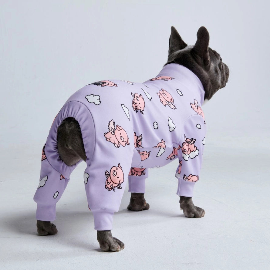 PAJAMAS | WHEN PIGS FLY PINK DOG PAJAMAS