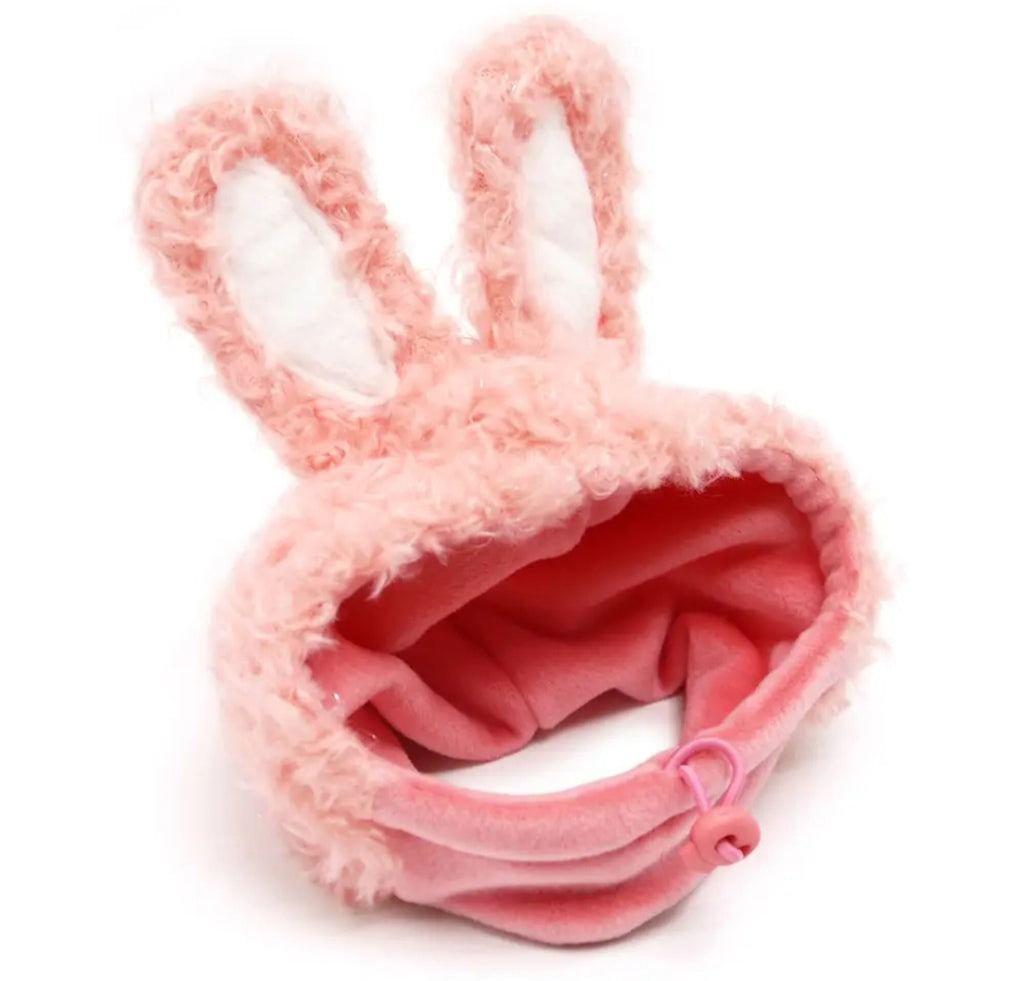 HAT|DOG BUNNY 🐰 HAT