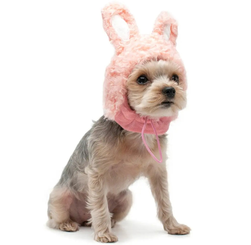 HAT|DOG BUNNY 🐰 HAT