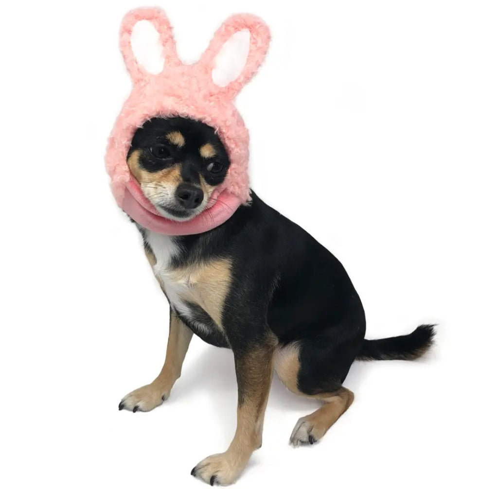 HAT|DOG BUNNY 🐰 HAT