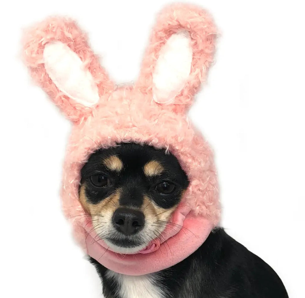 HAT|DOG BUNNY 🐰 HAT