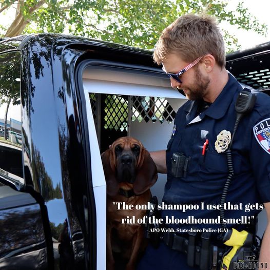DOG SHAMPOO + CONDITIONER FOX + HOUND ARGAN & AMBER