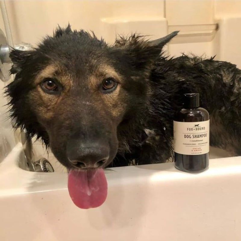 DOG SHAMPOO + CONDITIONER FOX + HOUND ARGAN & AMBER
