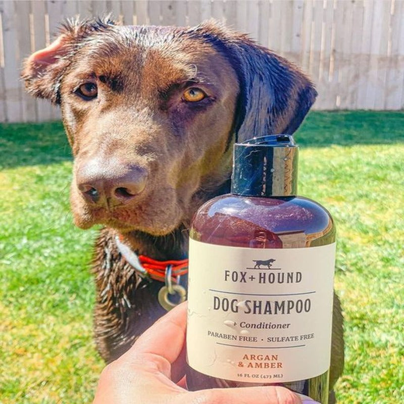DOG SHAMPOO + CONDITIONER FOX + HOUND ARGAN & AMBER