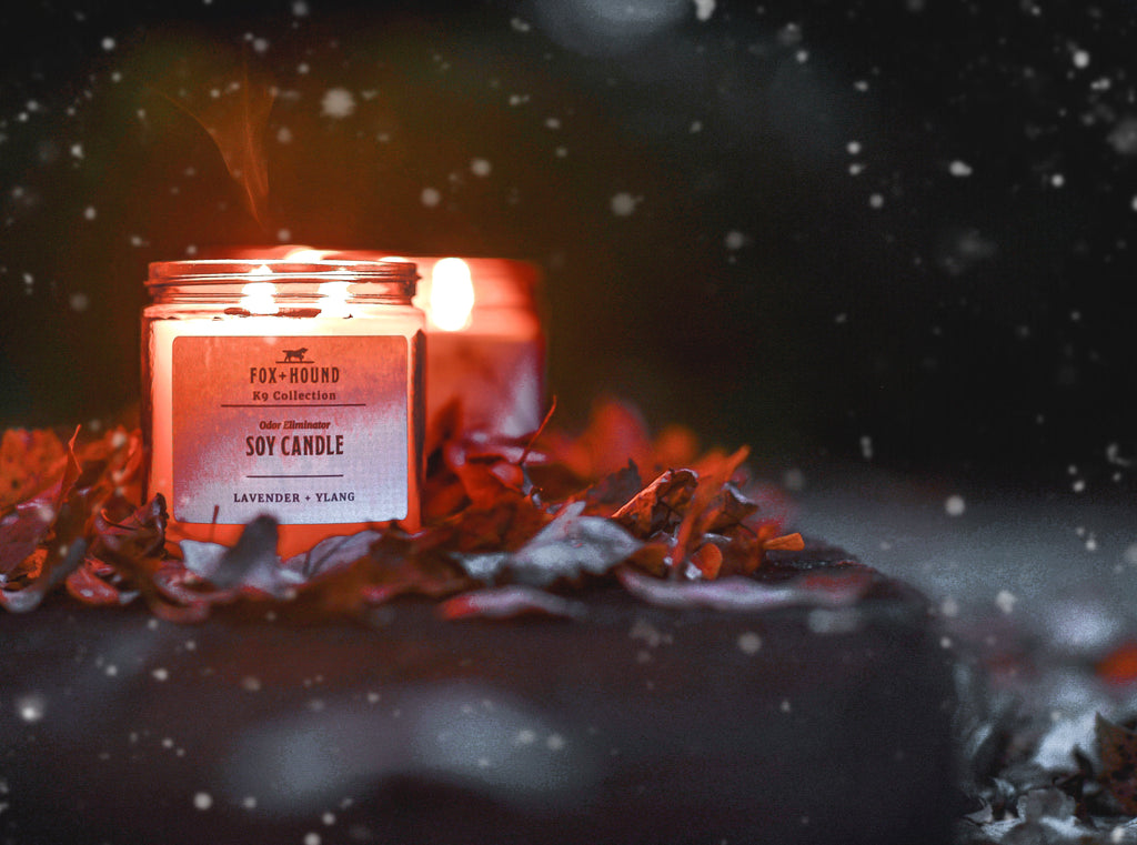 CANDLE "LAVENDER + YLANG" FOX + HOUND ODOR-ELIMINATOR SOY