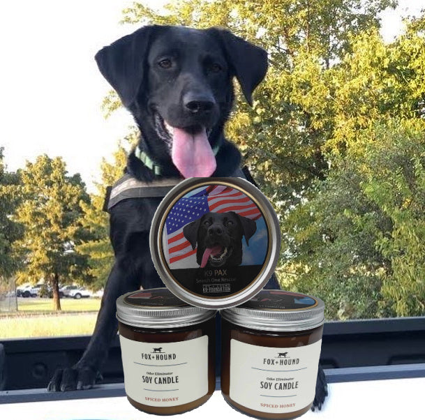 K9 CANDLE - K9 PAX FOX + HOUND SPICED HONEY ODOR-ELIMINATOR SOY CANDLE