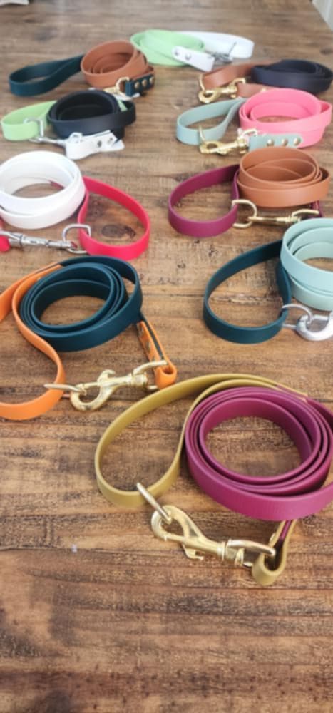 LEASH | BIOTHANE LEASHES | MULTIPLE COLOR AND SIZE OPTIONS