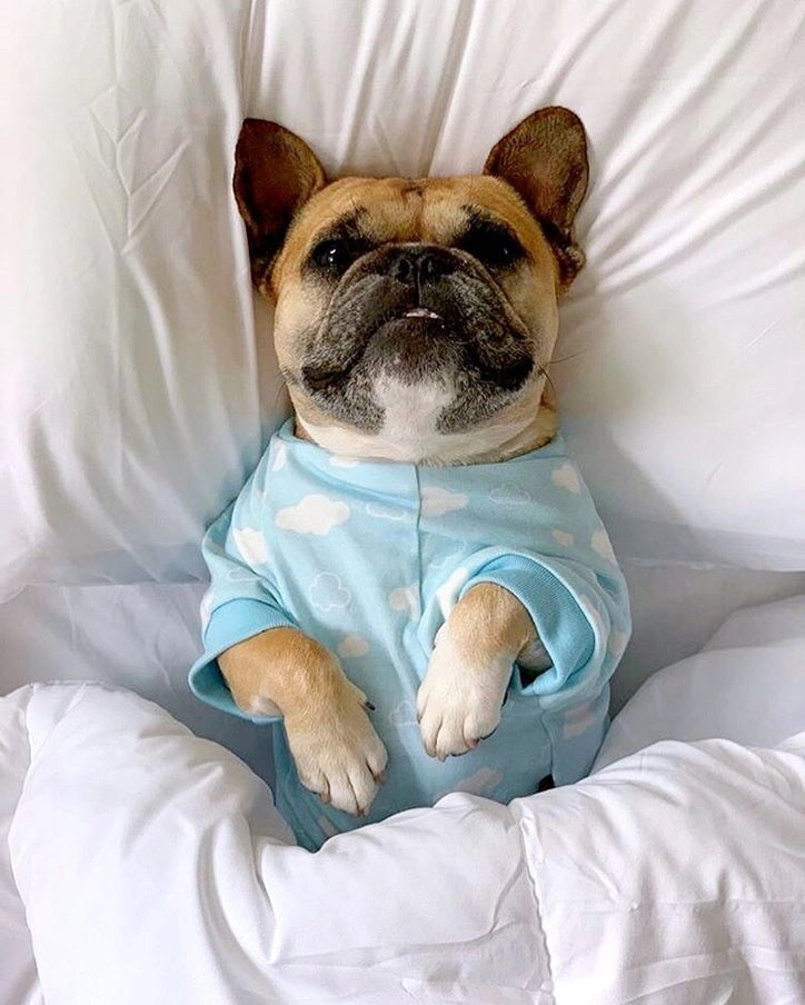 PAJAMAS | BLUE CLOUD DOG PAJAMAS