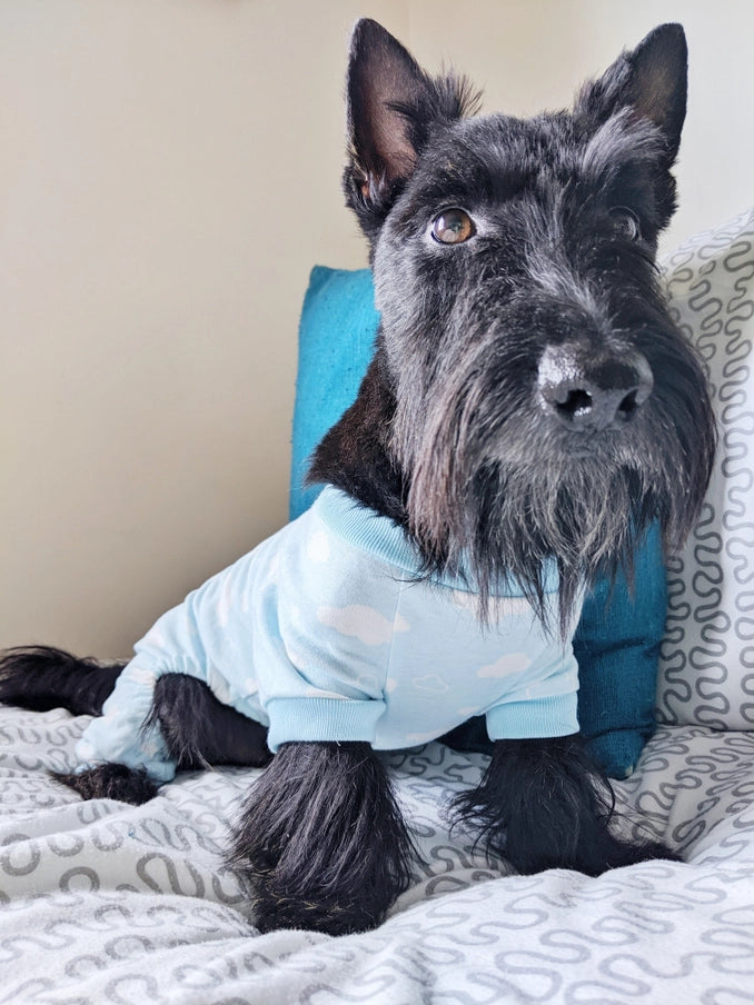 PAJAMAS | BLUE CLOUD DOG PAJAMAS