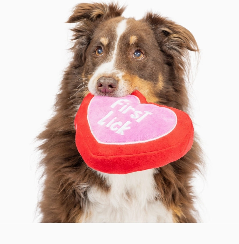 First Lick Heart Dog Toy VALENTINES