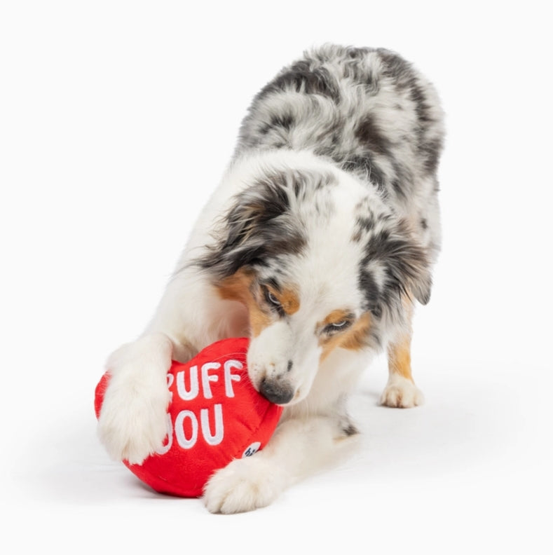 First Lick Heart Dog Toy VALENTINES