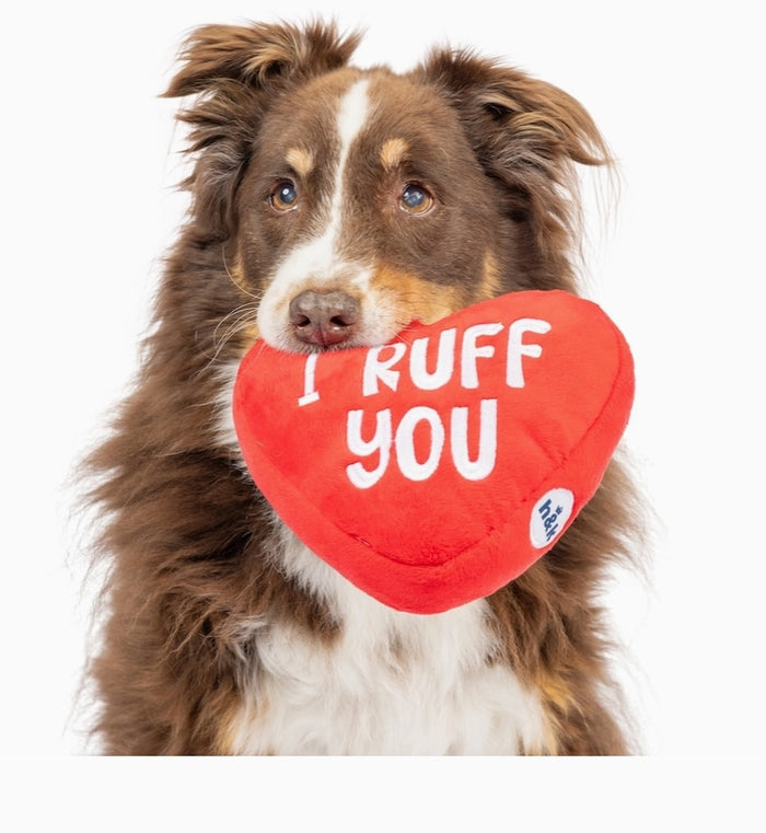 First Lick Heart Dog Toy VALENTINES