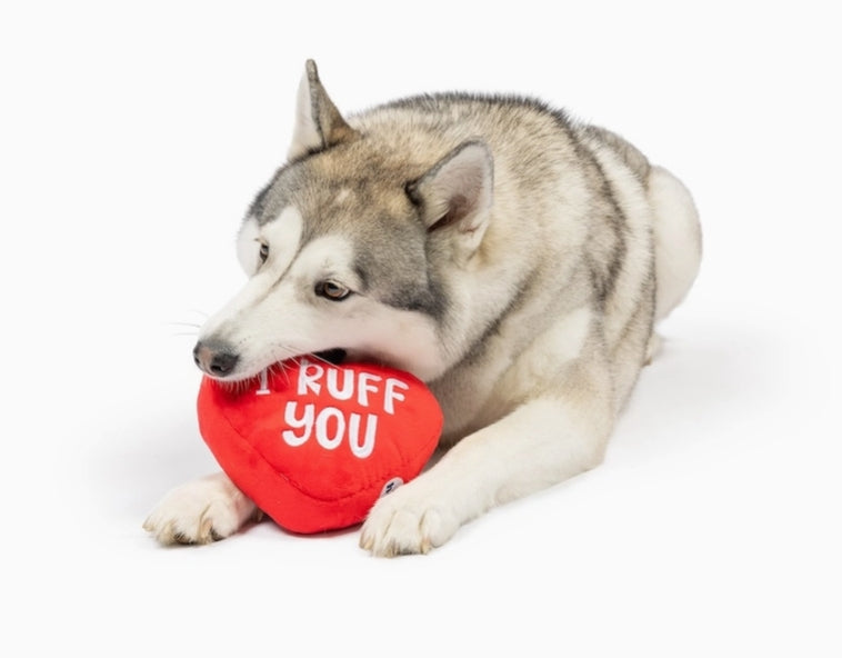 First Lick Heart Dog Toy VALENTINES