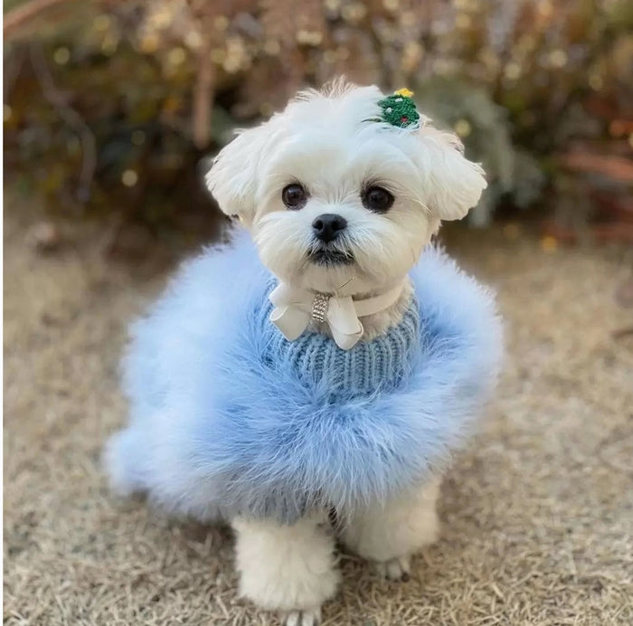 Couture Feathered Luxury Pet Sweater Small Blue