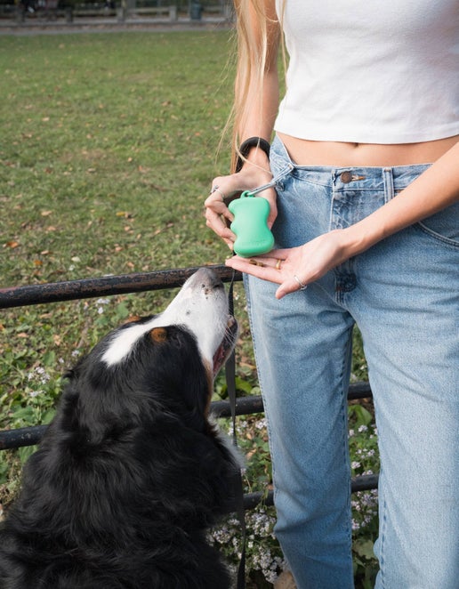 Treat Easy - Squeeze Dog Pouch Dispenser