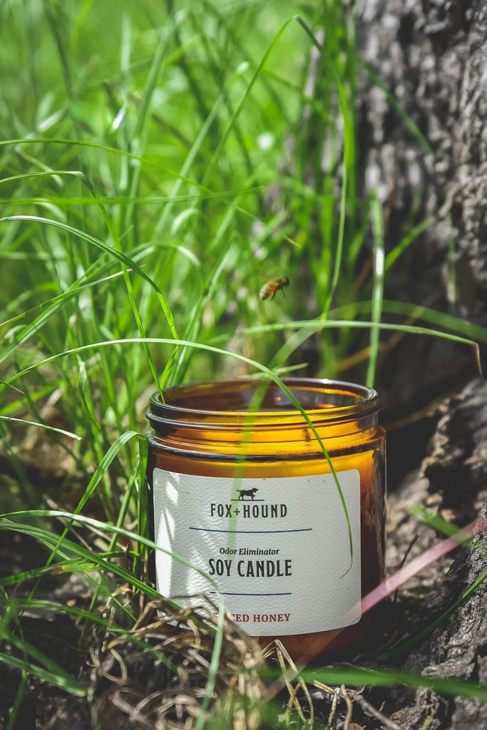 CANDLE  "SPICED HONEY" FOX + HOUND ODOR-ELIMINATOR SOY